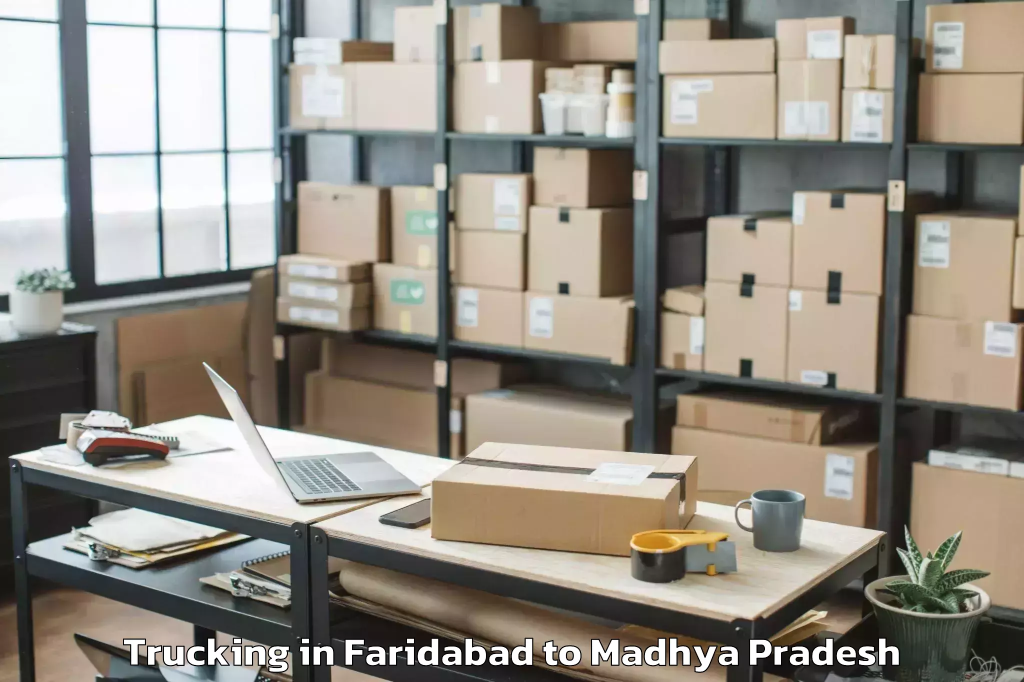 Easy Faridabad to Khilchipur Trucking Booking